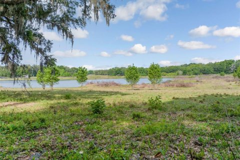 Land in Dade City, Florida № 2101141 - photo 7