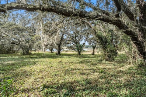 Land in Dade City, Florida № 2101141 - photo 22