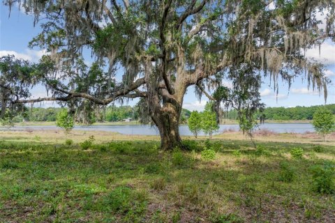Land in Dade City, Florida № 2101141 - photo 6