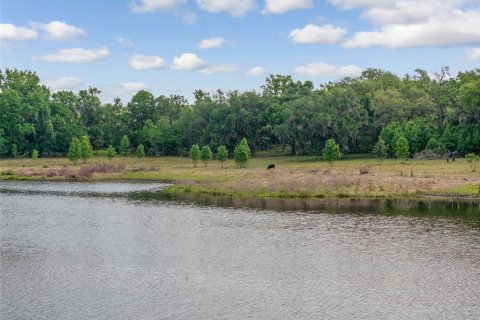 Land in Dade City, Florida № 2101141 - photo 8