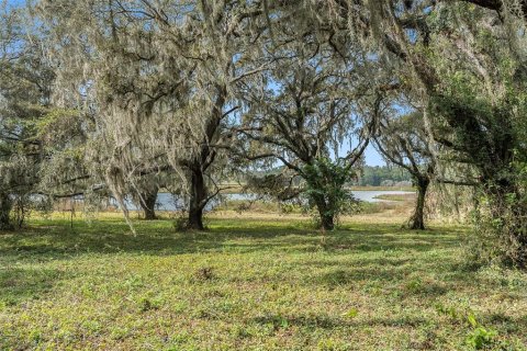 Land in Dade City, Florida № 2101141 - photo 20