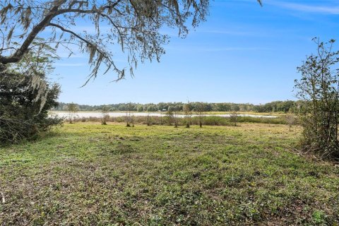 Land in Dade City, Florida № 2101141 - photo 21