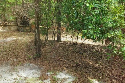 House in Branford, Florida 2 bedrooms, 157.75 sq.m. № 1808671 - photo 22