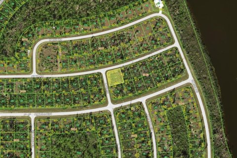 Land in Port Charlotte, Florida № 2228558 - photo 3