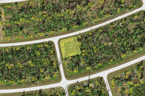 Land in Port Charlotte, Florida № 2228558 - photo 2