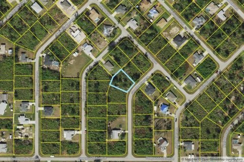 Land in Port Charlotte, Florida № 2214544