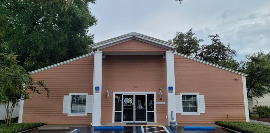 Commercial property in Zephyrhills, Florida № 2209230