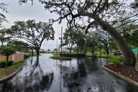 Commercial property in Zephyrhills, Florida № 2209230 - photo 6