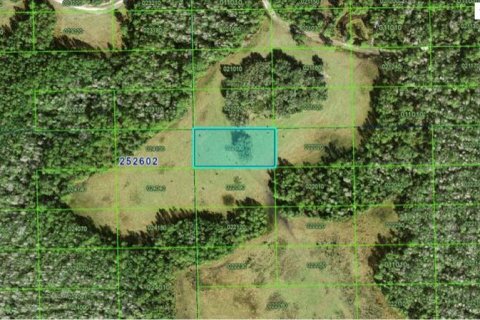 Terrain à Polk City, Floride № 2235017