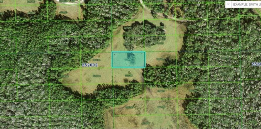 Terrain à Polk City, Floride № 2235017