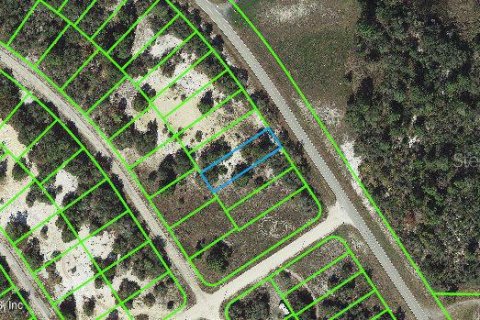 Land in Lake Placid, Florida № 2234968