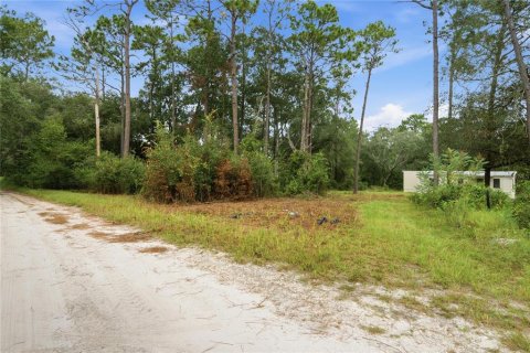 Terrain à Dunnellon, Floride № 2369079