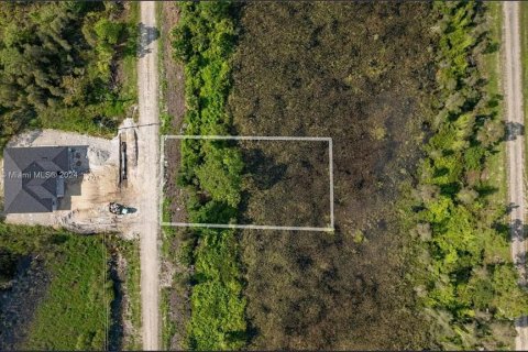 Land in Lehigh Acres, Florida № 2164313 - photo 3