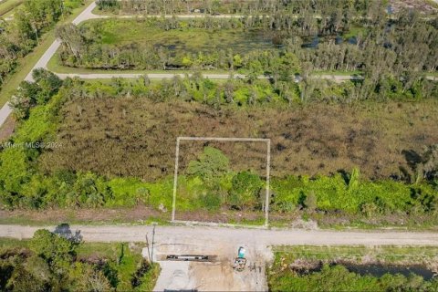 Land in Lehigh Acres, Florida № 2164313 - photo 4
