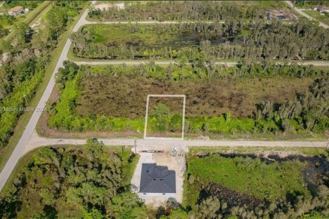 Land in Lehigh Acres, Florida № 2164313