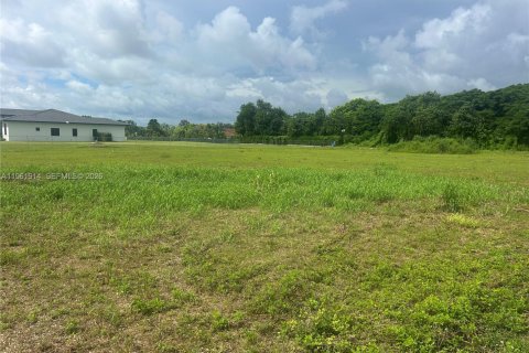 Terreno en Homestead, Florida № 2032005