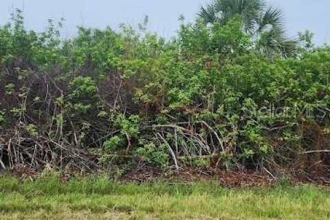 Land in Port Charlotte, Florida № 2164241 - photo 4