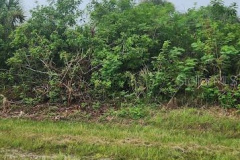 Land in Port Charlotte, Florida № 2164241 - photo 3