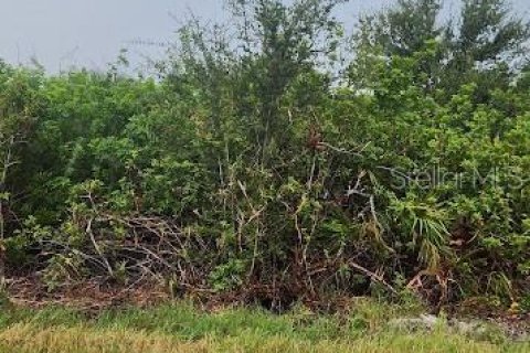 Land in Port Charlotte, Florida № 2164241 - photo 5