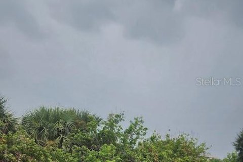 Land in Port Charlotte, Florida № 2164241 - photo 6