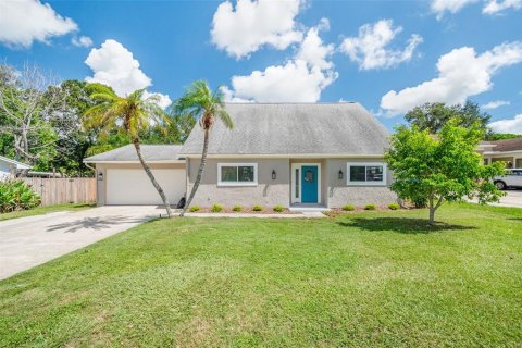 Villa ou maison à vendre à Dunedin, Floride: 5 chambres, 279.26 m2 № 1899835 - photo 2