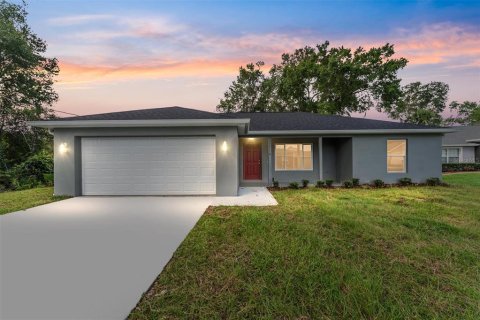 Villa ou maison à vendre à Ocklawaha, Floride: 3 chambres, 116.22 m2 № 1841873 - photo 1