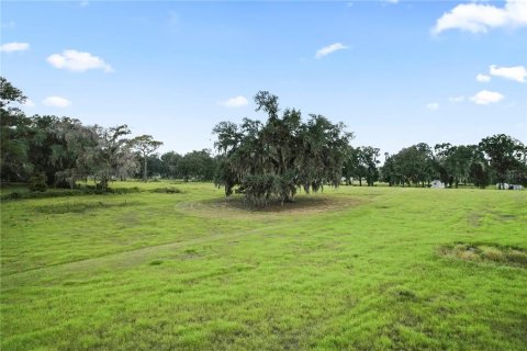 Terrain à Dade City, Floride № 2431627