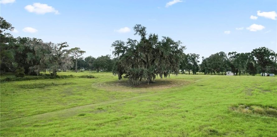 Terrain à Dade City, Floride № 2431627