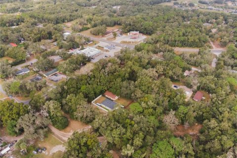 Terreno en venta en Mount Plymouth, Florida № 1824179 - foto 11