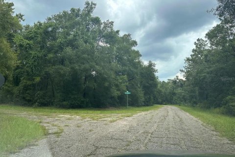 Land in Citrus Springs, Florida № 2280225