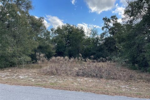 Terreno en venta en Hernando, Florida № 2201145 - foto 5