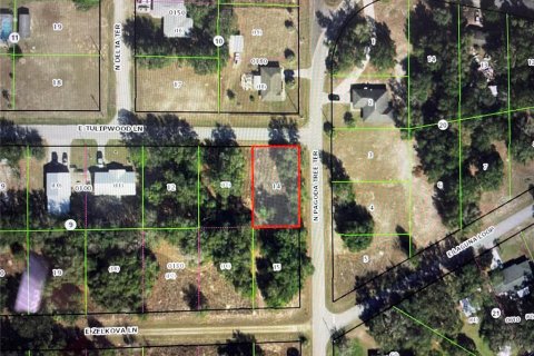 Terreno en venta en Hernando, Florida № 2201145 - foto 3