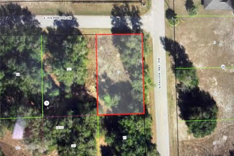 Terreno en Hernando, Florida № 2201145