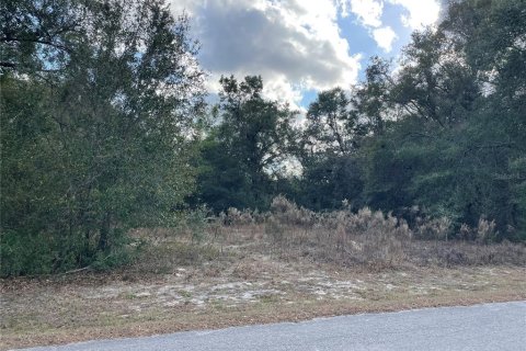 Terreno en venta en Hernando, Florida № 2201145 - foto 4