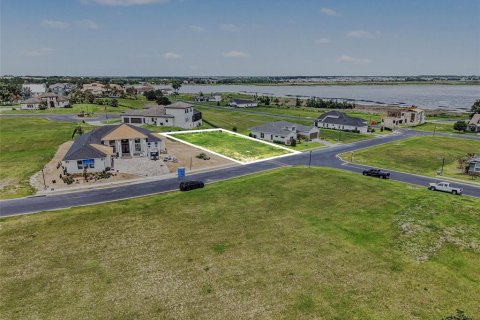 Land in Lake Alfred, Florida № 2212148 - photo 10