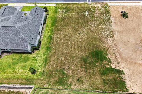 Land in Lake Alfred, Florida № 2212148 - photo 3