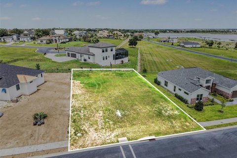 Land in Lake Alfred, Florida № 2212148 - photo 12