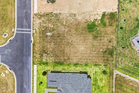 Land in Lake Alfred, Florida № 2212148 - photo 2