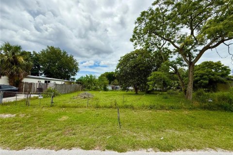 Land in New Port Richey, Florida № 1804990 - photo 2