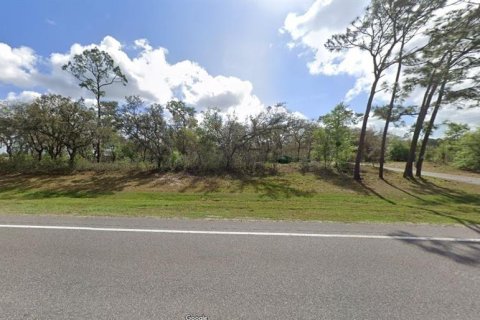 Land in Polk City, Florida № 2163757 - photo 2