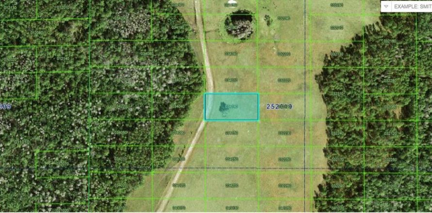 Land in Polk City, Florida № 2163757