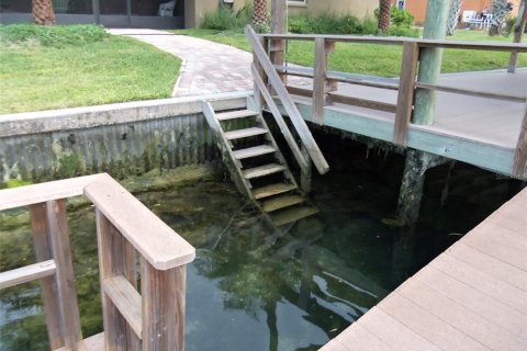 Casa en alquiler en Crystal River, Florida, 4 dormitorios, 186.45 m2 № 1901129 - foto 16