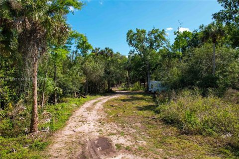 Terreno en venta en Naples, Florida № 1897959 - foto 6