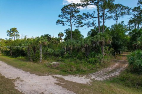 Terreno en venta en Naples, Florida № 1897959 - foto 4