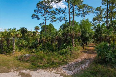 Terreno en venta en Naples, Florida № 1897959 - foto 3