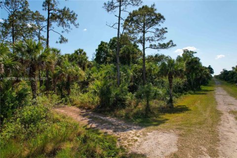 Terreno en venta en Naples, Florida № 1897959 - foto 2