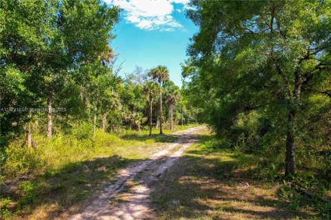 Terreno en venta en Naples, Florida № 1897959 - foto 5
