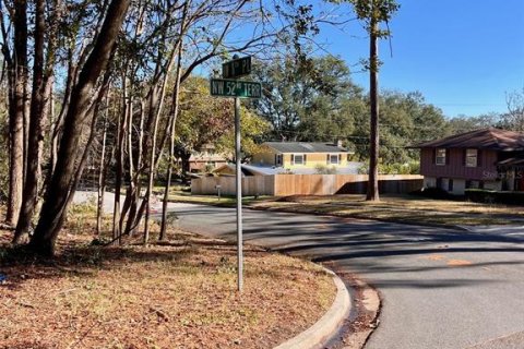 Land in Gainesville, Florida № 1427748 - photo 2