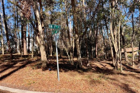 Land in Gainesville, Florida № 1427748 - photo 3