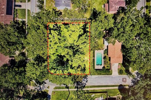 Land in Gainesville, Florida № 1427748 - photo 7